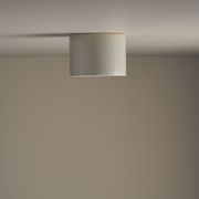 Cylinder Ceiling Light gallery detail image