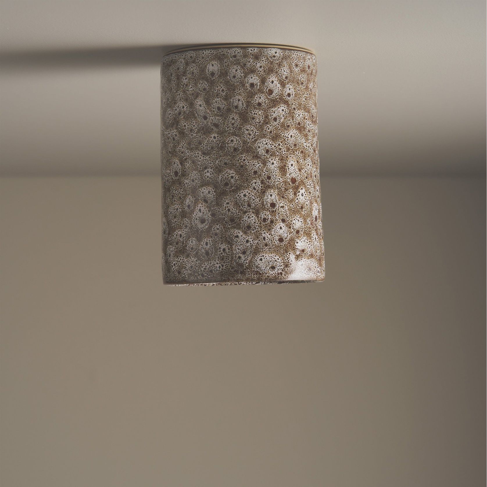 Cylinder Ceiling Light gallery detail image