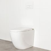 Milu Crest In-wall Floor Mount Pan gallery detail image