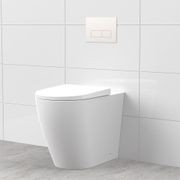 Argent Vista Hygienic Flush In-Wall Floor Mount Pan gallery detail image