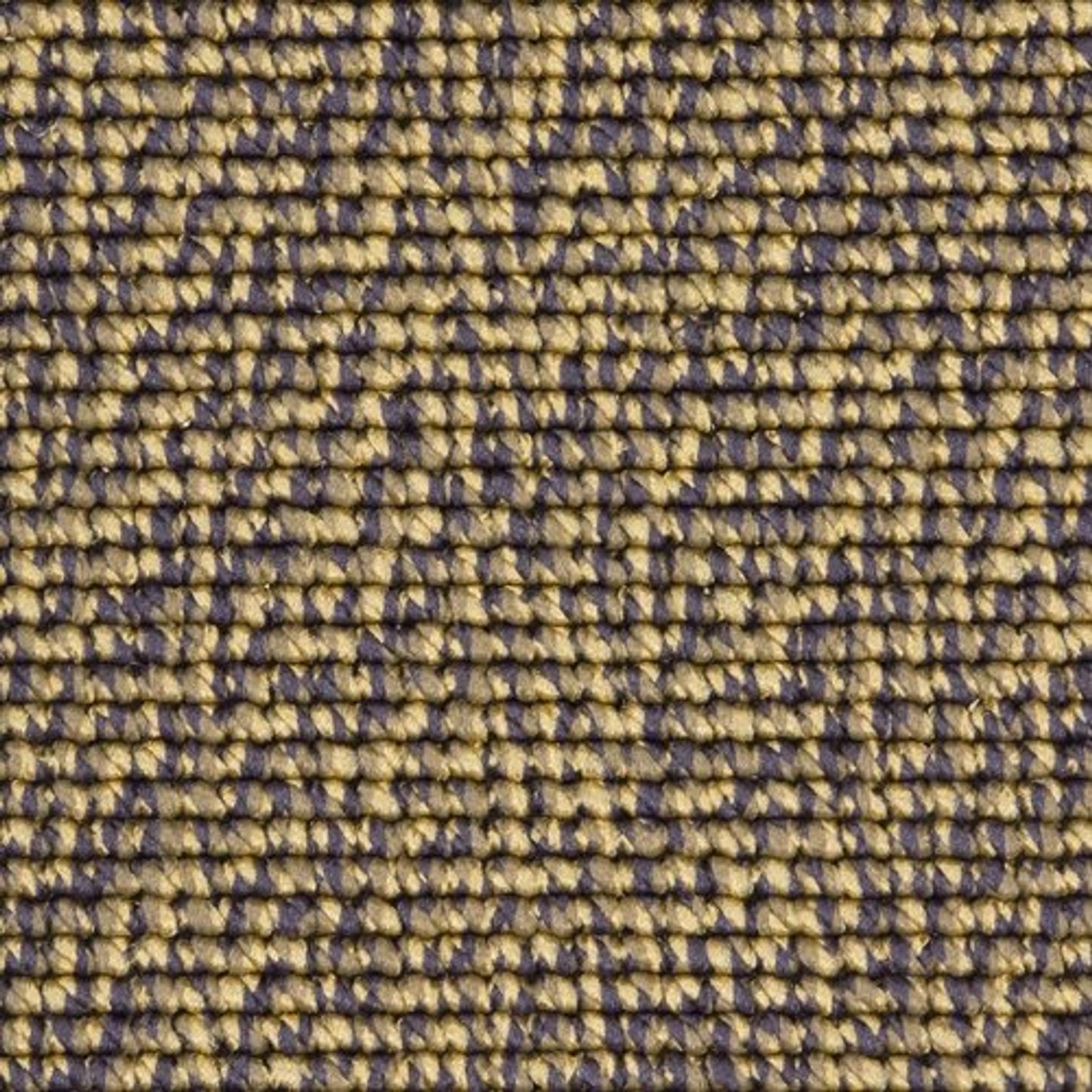 2404 gallery detail image