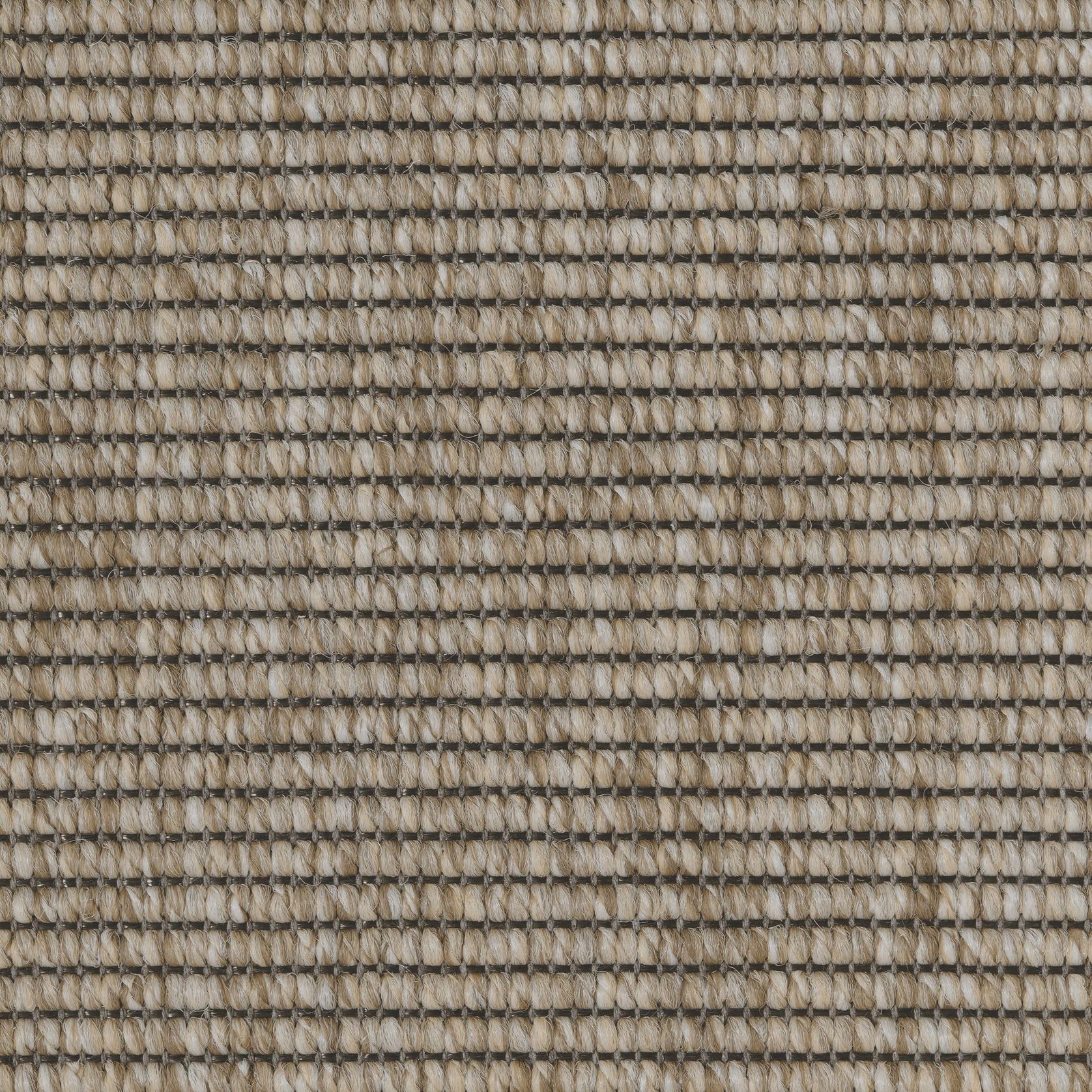 2440 gallery detail image