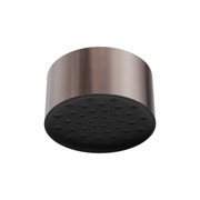 Serenity Ceiling Shower Head Brushed Bronze gallery detail image
