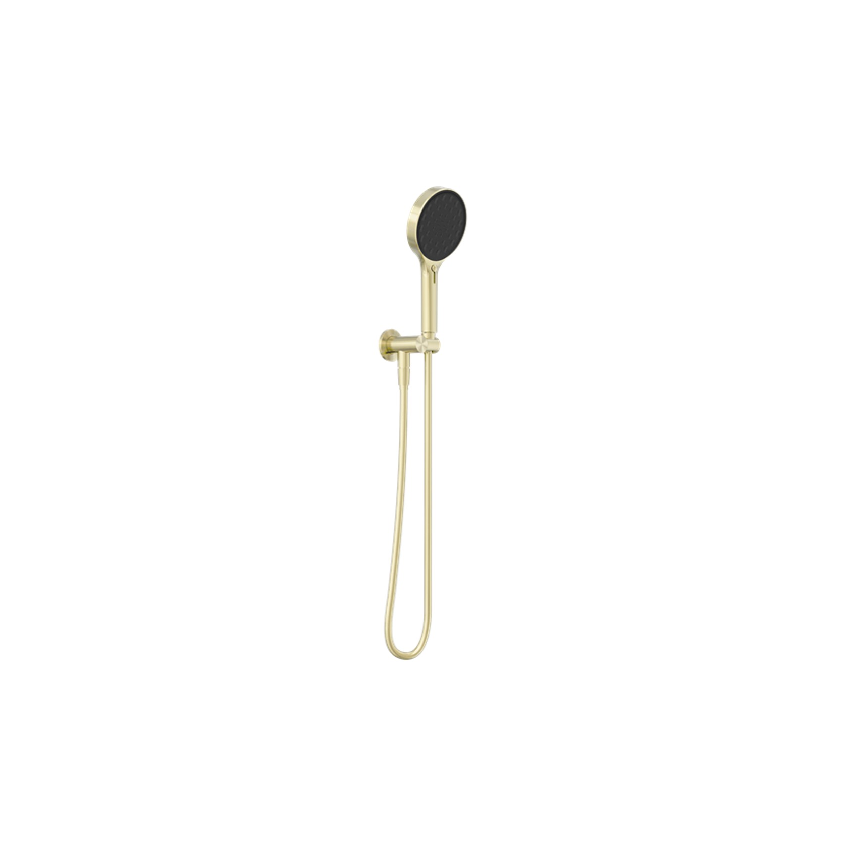 Serenity Hand Held Shower Brushed Gold gallery detail image