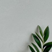 Mineral Paint | Apollo Grey gallery detail image