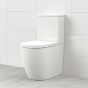 Argent Vista HygienicFlush + Odourless by Expella gallery detail image