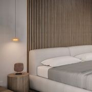 Vela Single Pendant gallery detail image