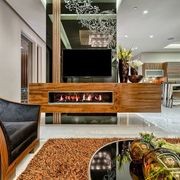 Opti-V Single Or Double | Electric Fireplace gallery detail image