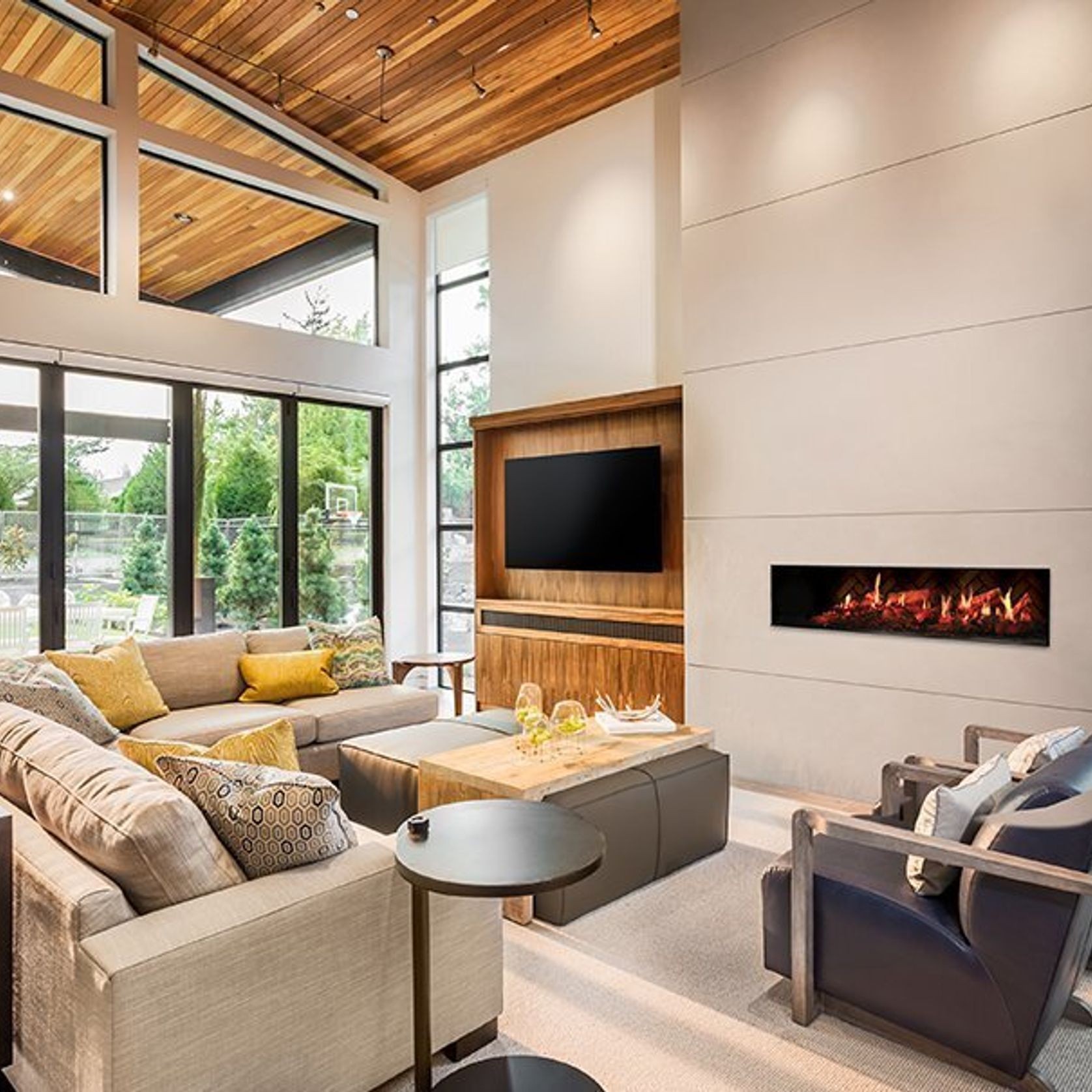 Opti-V Single Or Double | Electric Fireplace gallery detail image