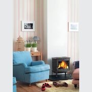 Jotul  F100 | Wood Fireplace gallery detail image