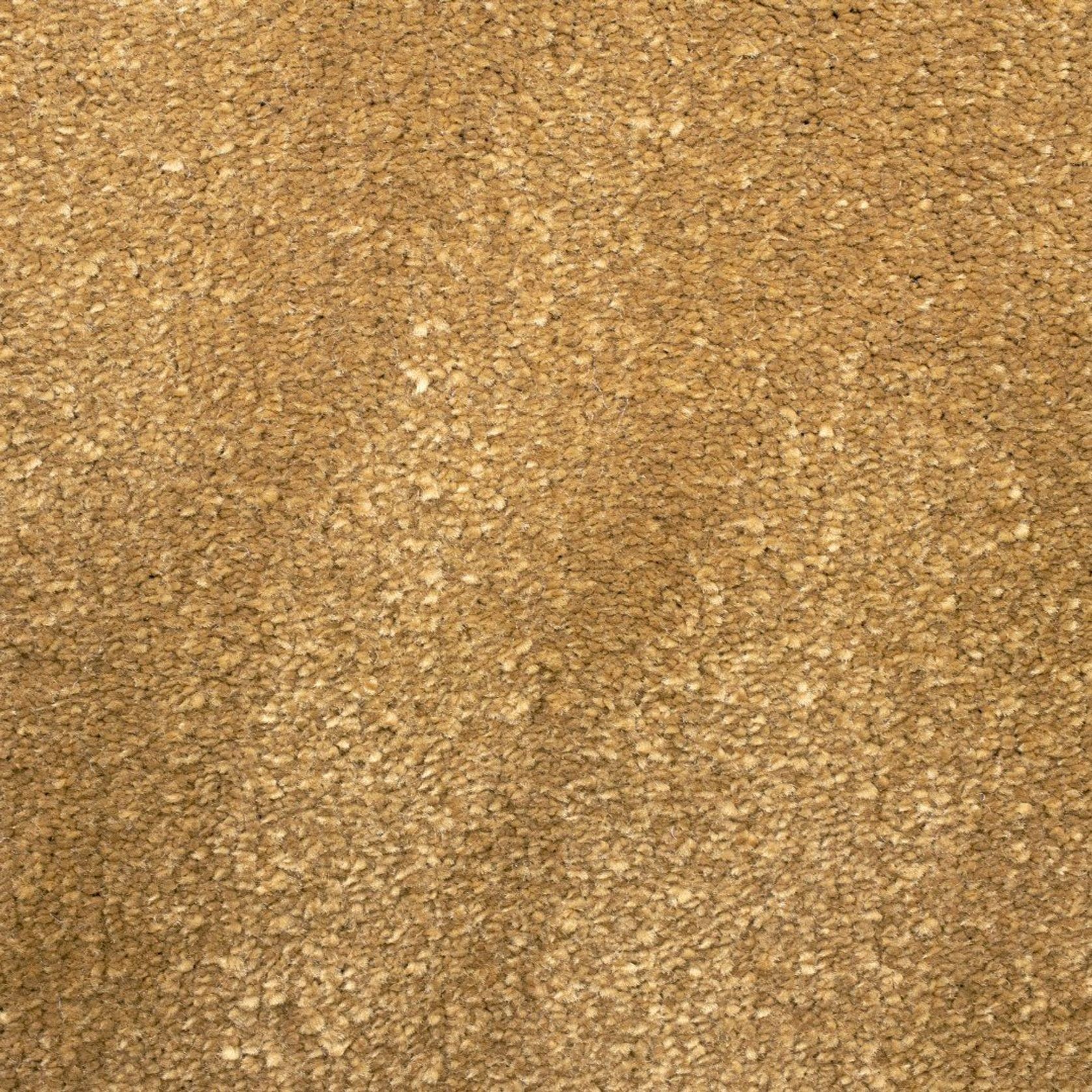 2611 gallery detail image