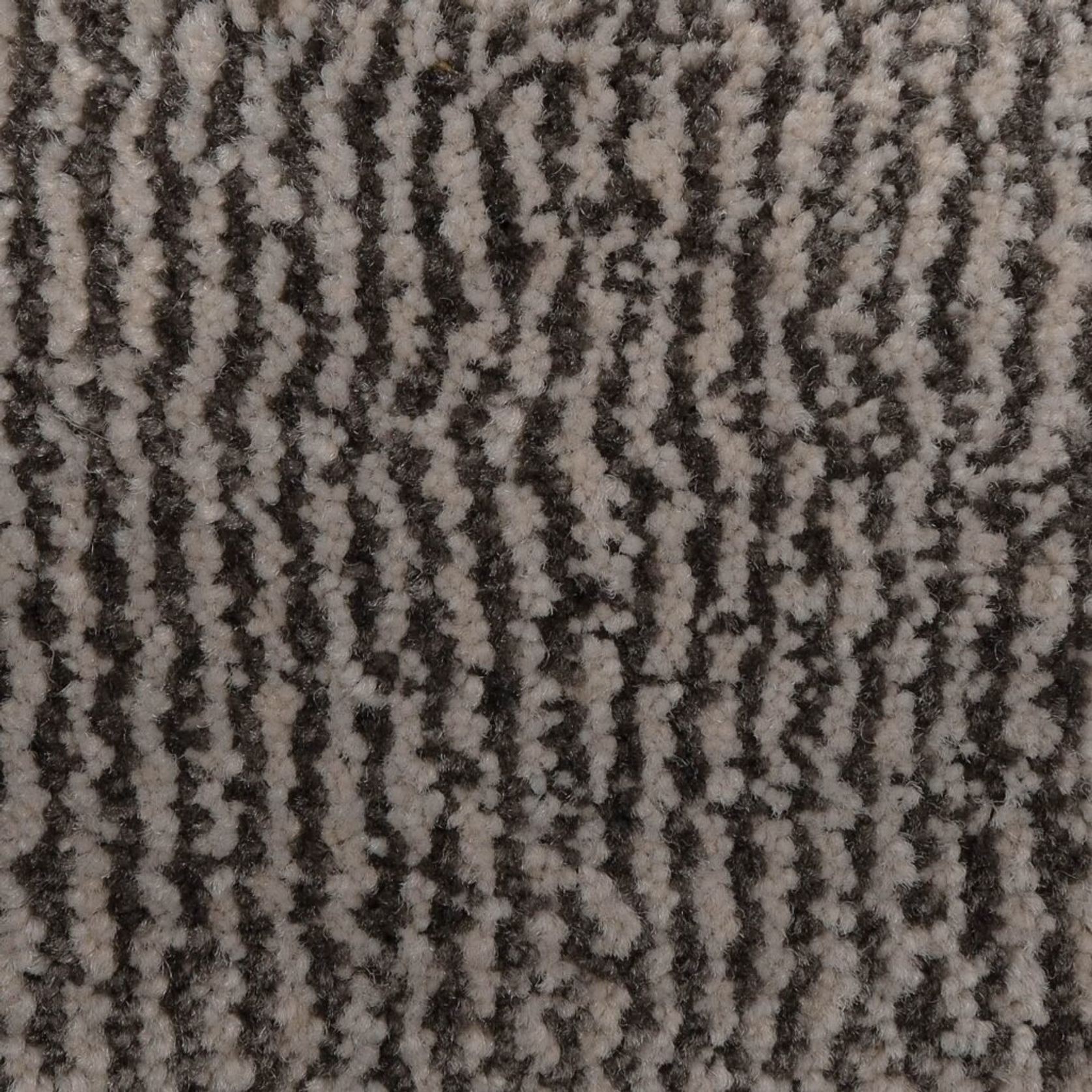 2620 gallery detail image