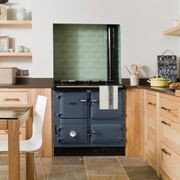 Rayburn 355Sfw Heatranger Solid Fuel And Wood Stove gallery detail image