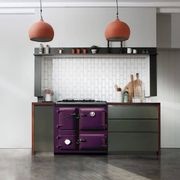 Rayburn 355Sfw Heatranger Solid Fuel And Wood Stove gallery detail image