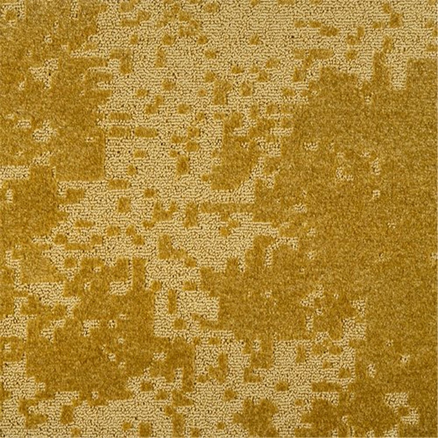 2640 gallery detail image
