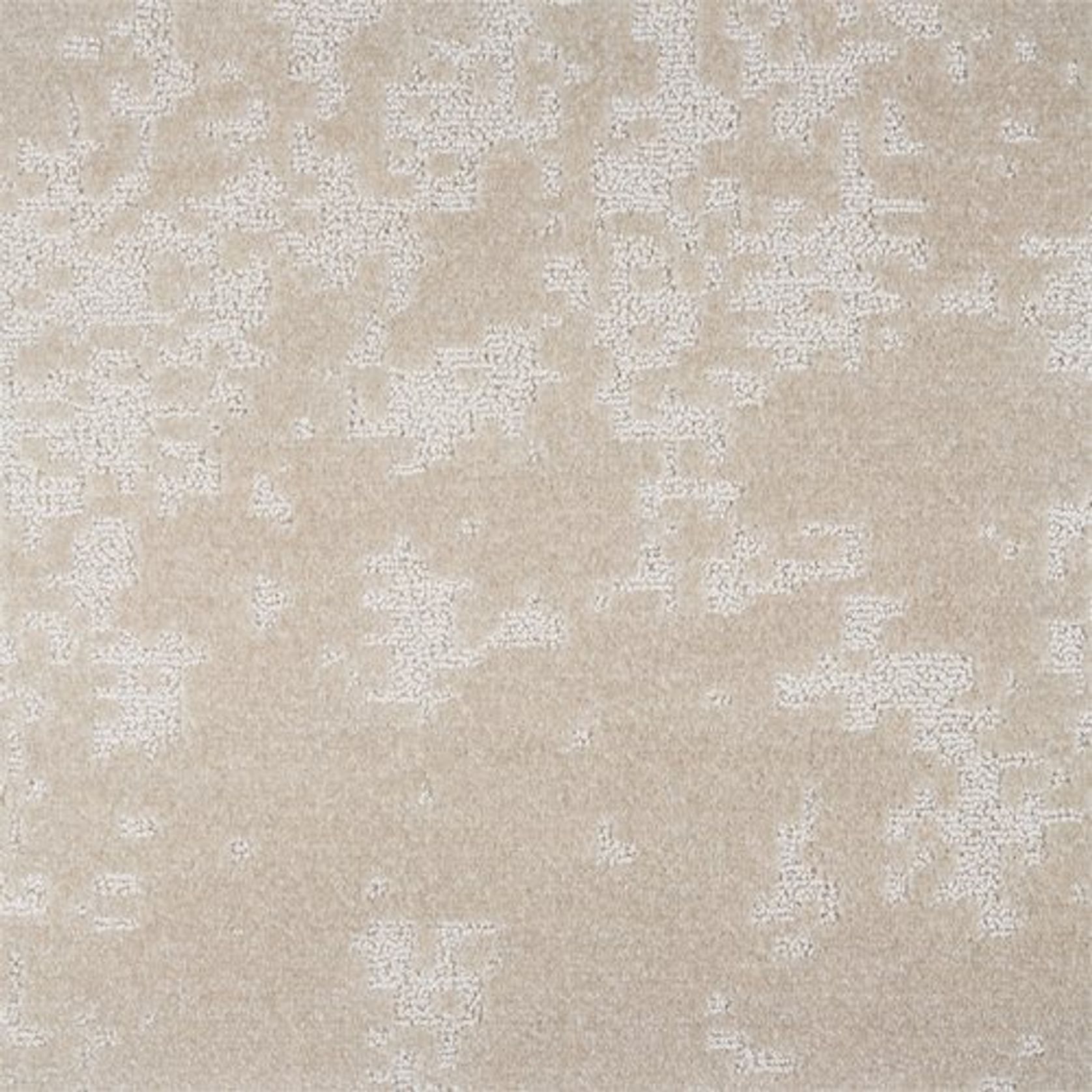 2640 gallery detail image