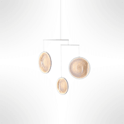 Focus 3 Pendant gallery detail image