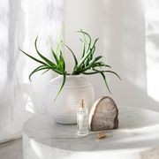 Elle Round Block Marble Coffee Table / White gallery detail image