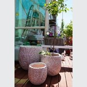 Monstera Leaf Embossed Planter gallery detail image