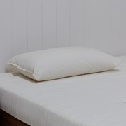 Organic Wool | Pillow gallery detail image