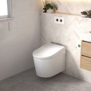 Caroma Livewell Electronic Bidet Seat gallery detail image