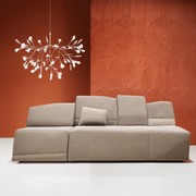 Heracleum III Large gallery detail image