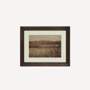 Pastural Field Landscape gallery detail image