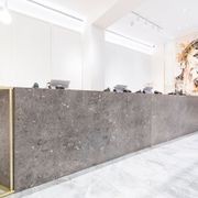 Natural Stone Slabs | Grigio Cenere gallery detail image