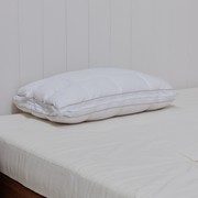 Contour Latex Down | Pillow gallery detail image