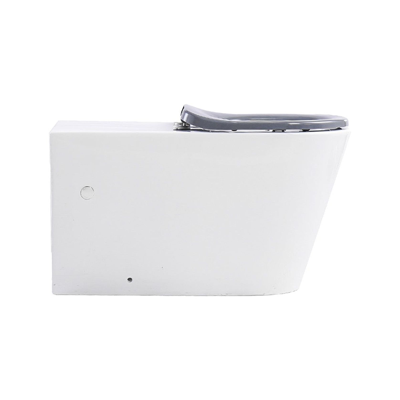 Ultra Access Rimless Floor Mounted Pan with Niche In-Wall Cistern and Push Plate gallery detail image