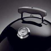 Weber 37cm Smokey Mountain gallery detail image
