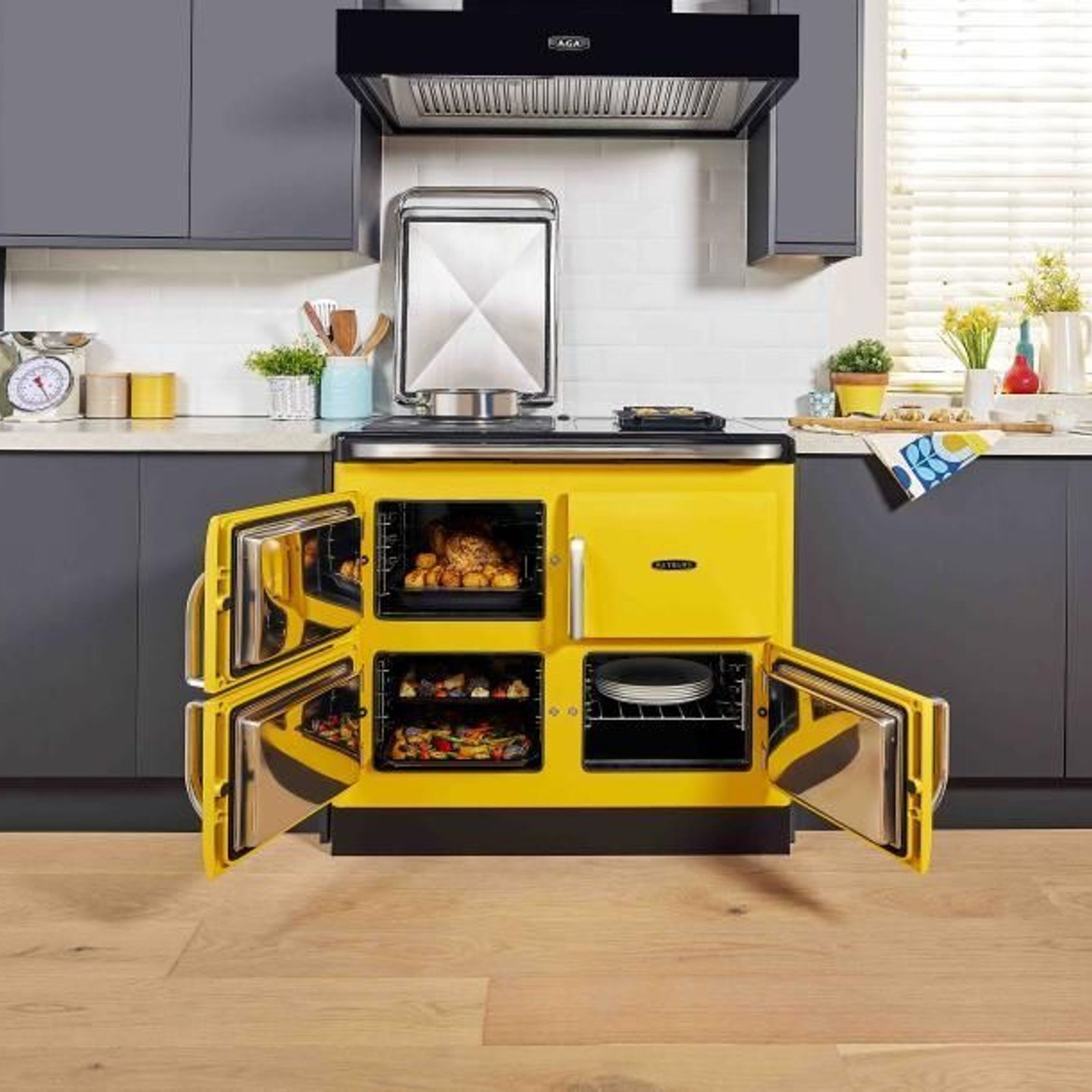 Rayburn Ranger 100 - 3I Electric Cooker gallery detail image