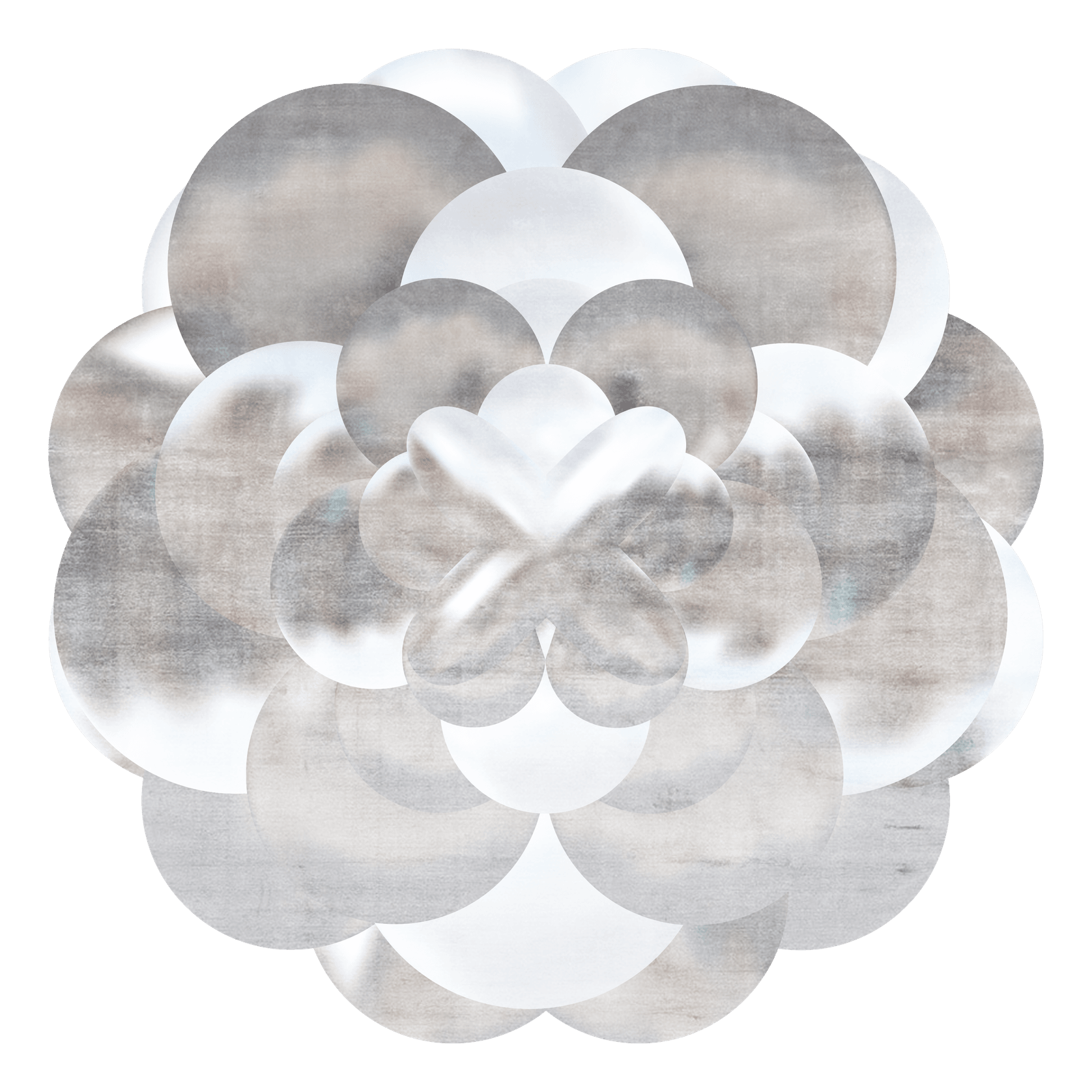 3D Bloom gallery detail image