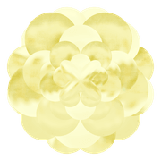 3D Bloom gallery detail image