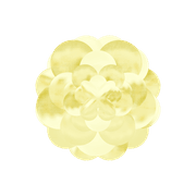 3D Bloom gallery detail image