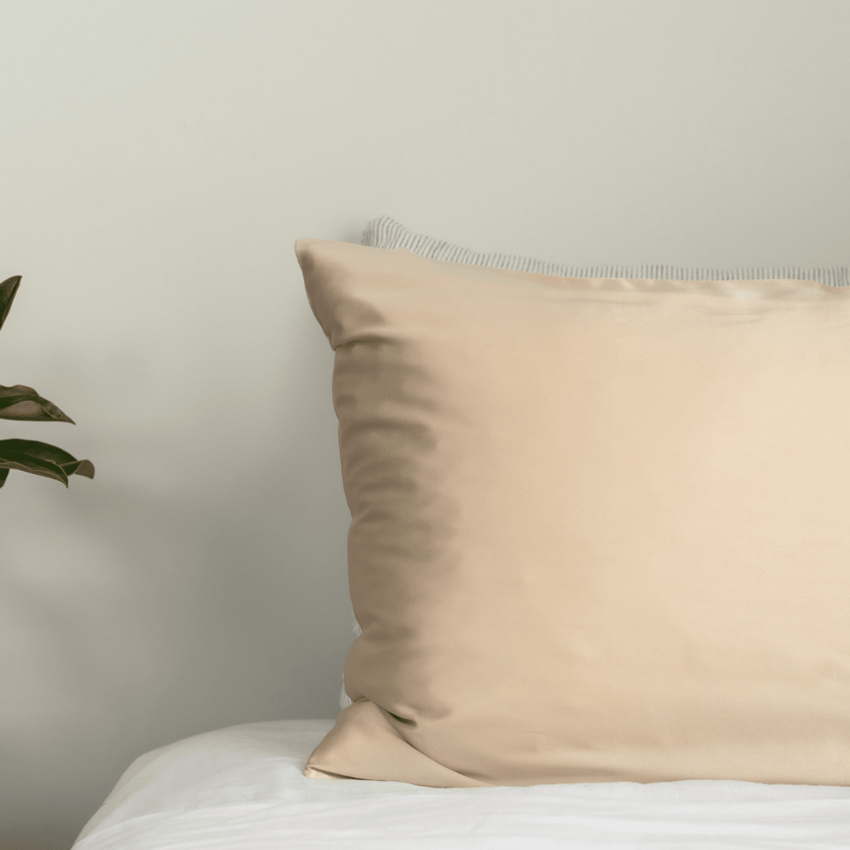 100 Pure Silk Pillowcase Pair Champagne ArchiPro NZ