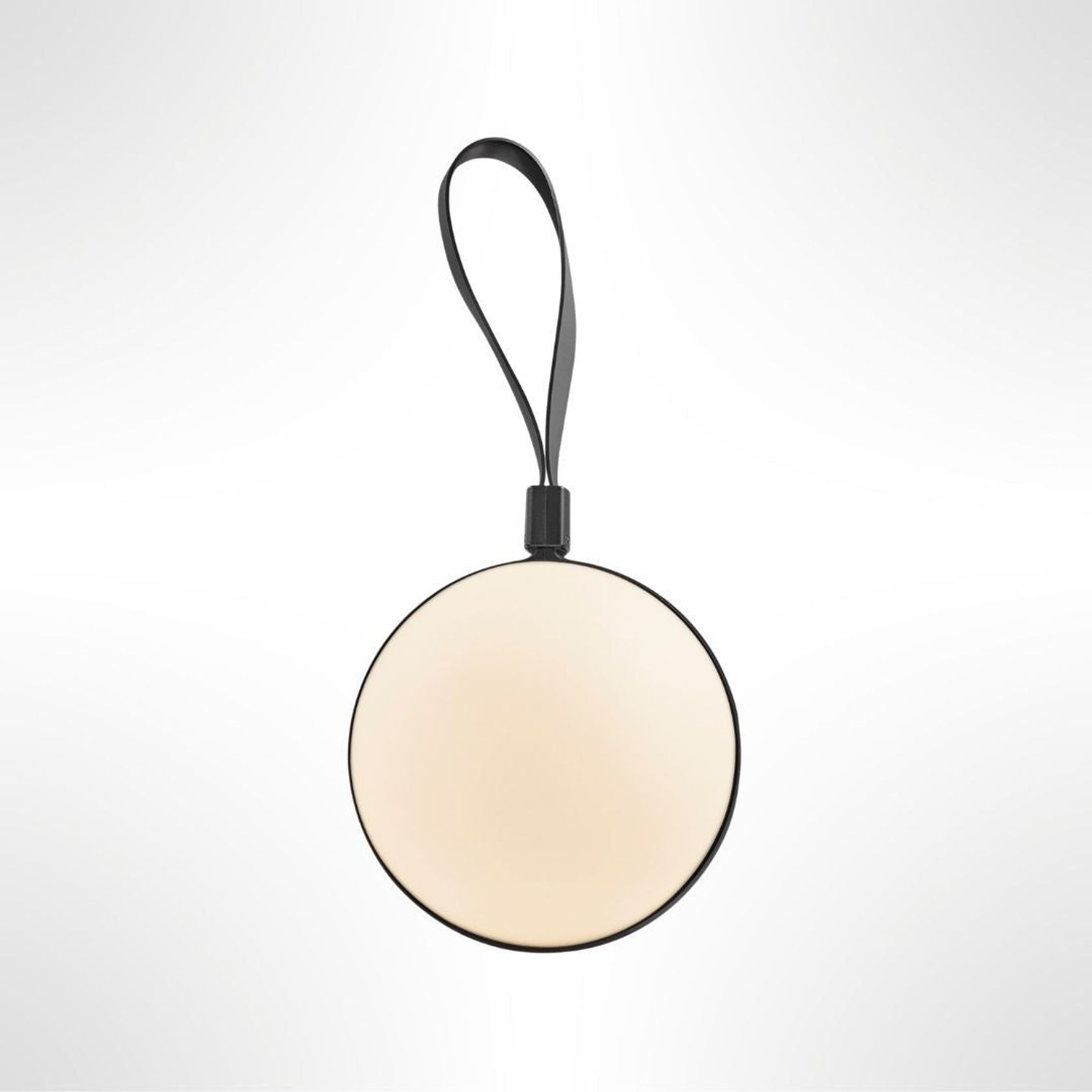 Bring-To-Go gallery detail image