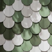 Scales gallery detail image