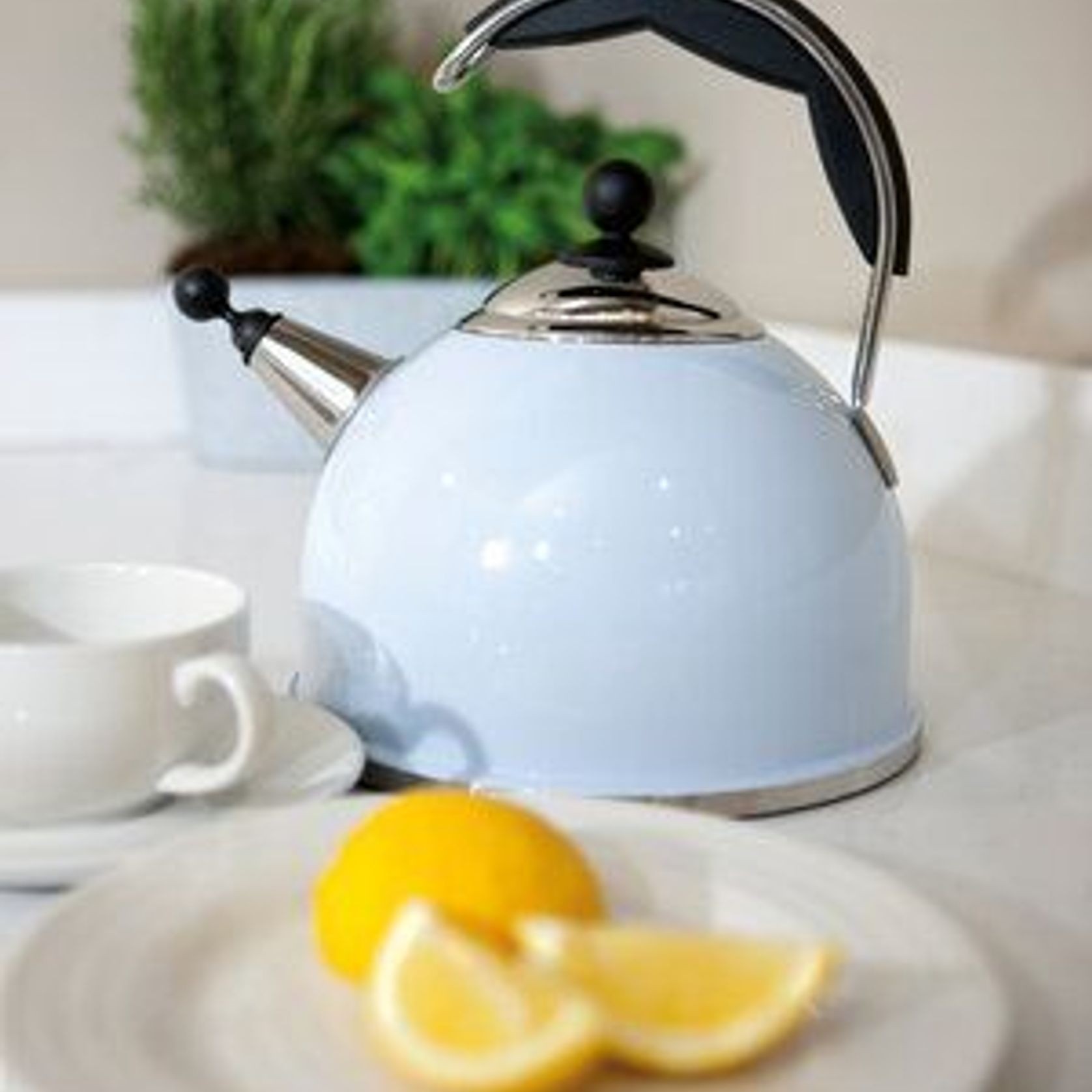 AGA Whistling Kettle gallery detail image
