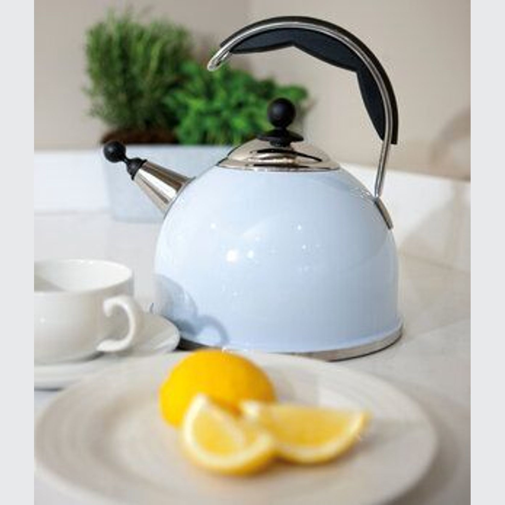 AGA Steel Whistling Kettle gallery detail image