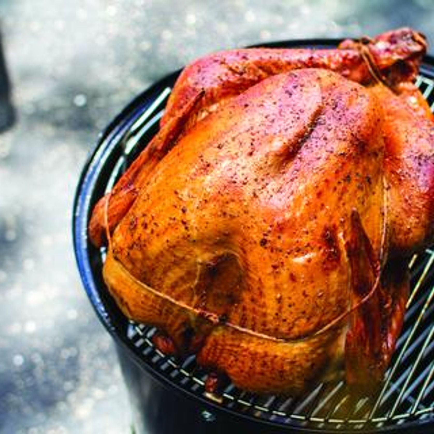 47cm Smokey Mountain Cooker gallery detail image