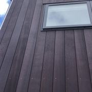 Obsidian Black Tint gallery detail image