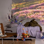 Otis | Bed Frame gallery detail image
