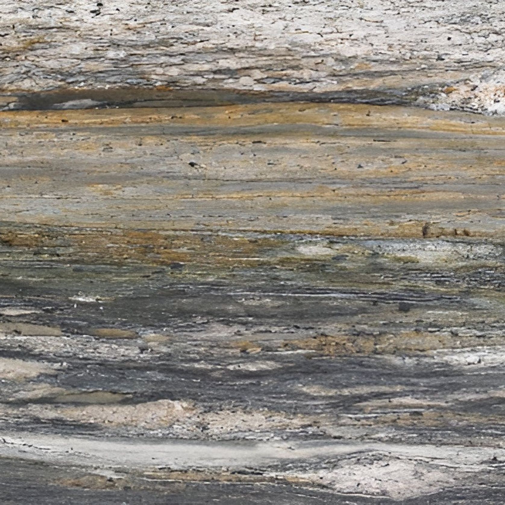 Natural Stone Slabs | Verde Bardini gallery detail image