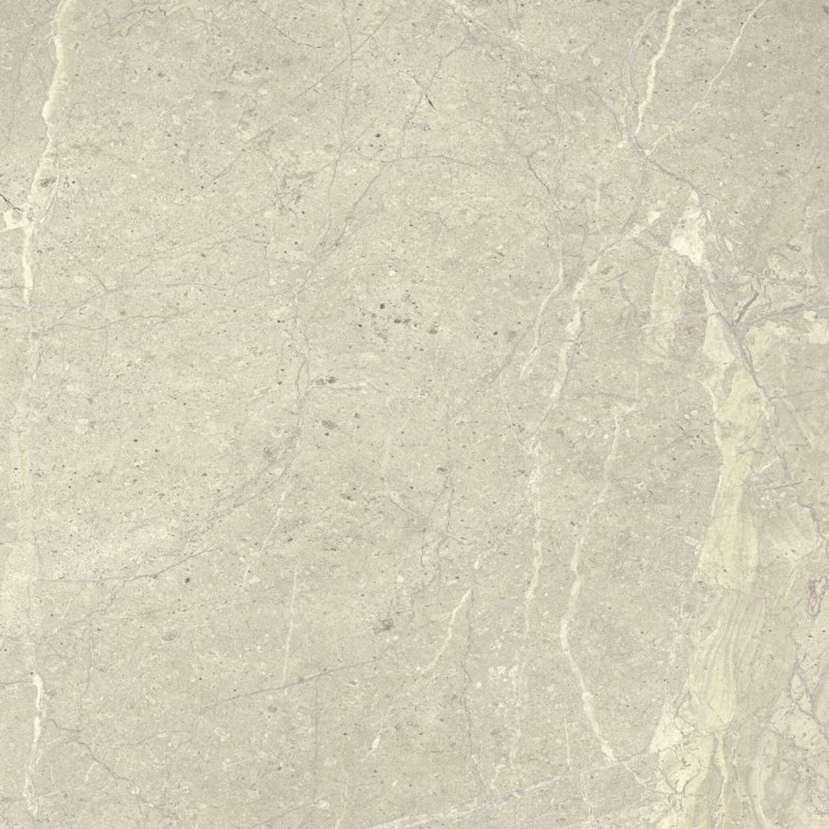 Anthology White | Porcelain Tiles gallery detail image