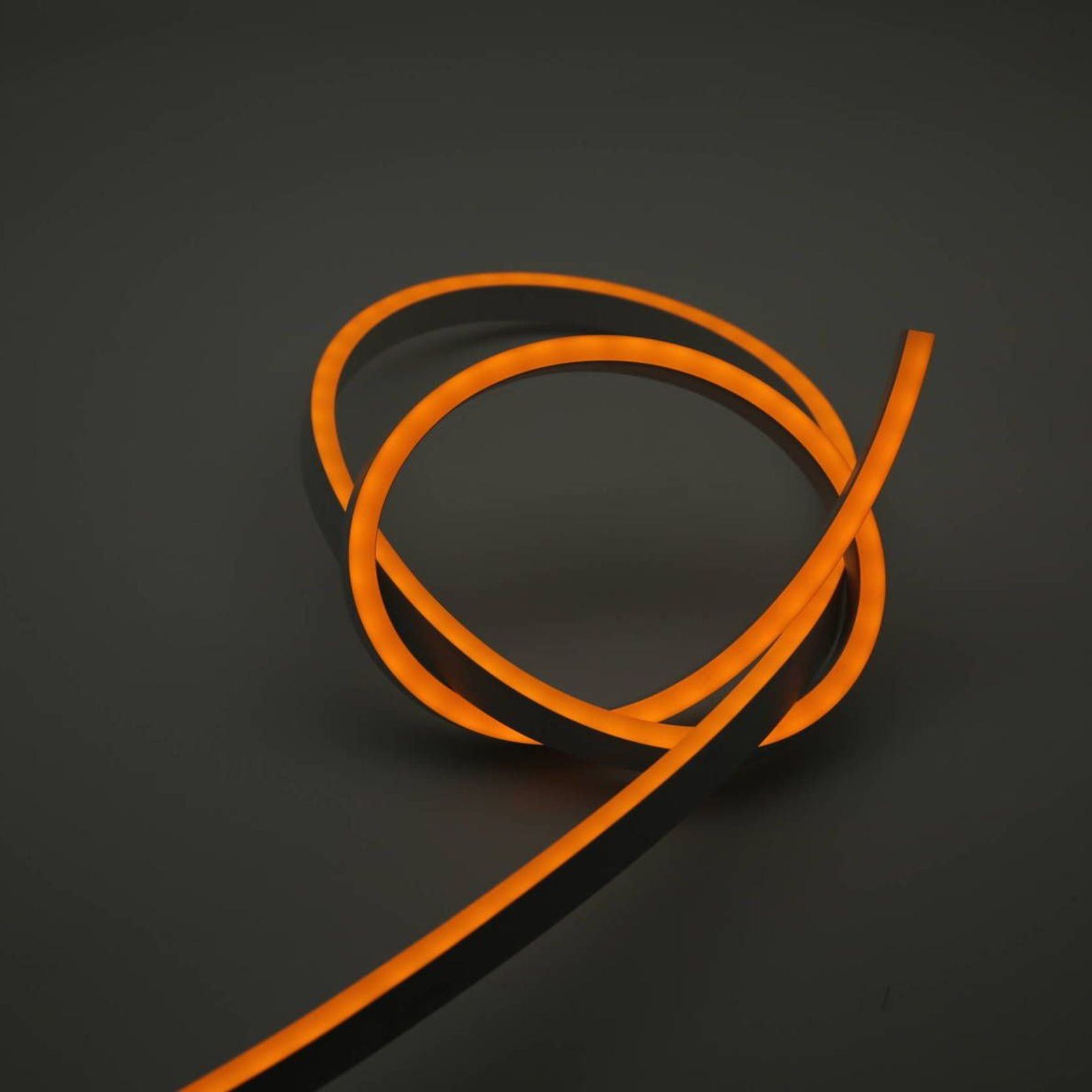 Cobra Snake Light gallery detail image