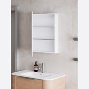 Pavia 600 Mirror Cabinet gallery detail image