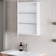 Pavia 450 Mirror Cabinet gallery detail image