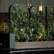 Green Screens Plant Wall | GreenAir gallery detail image