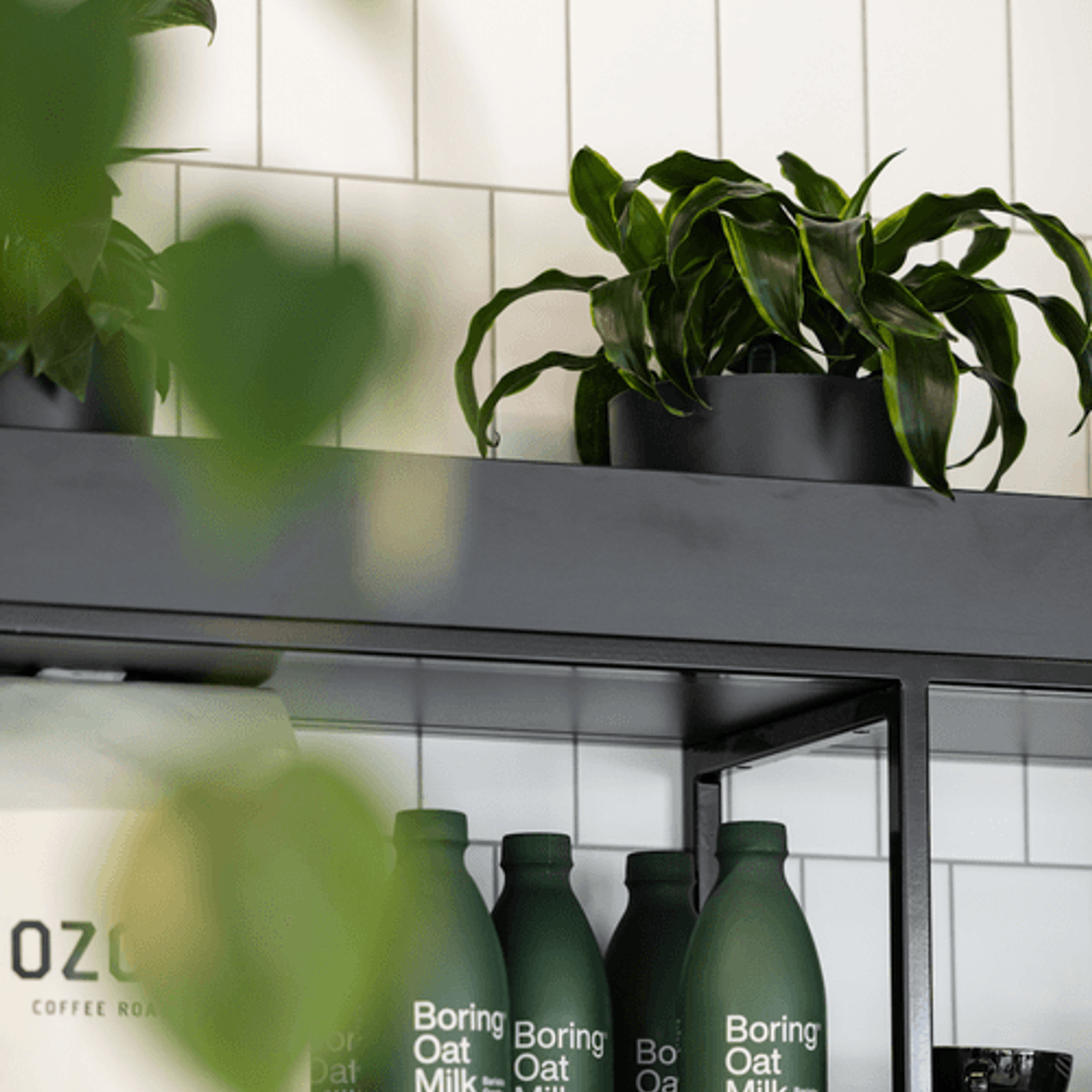 Mixed Foliage Displays | GreenAir gallery detail image